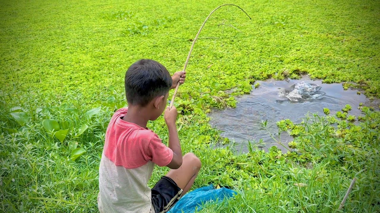 Best Fishing Video ~ Village Smart Boy Fishing With Hook ~ Traditional Hook Fishing ~ Рыбалка Видео