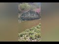Ref:7M47qLXq2hs Barranca de huentitan y ant�guo puente de arcediano
