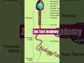 शुक्राणु की संरचना # Zen Zest Acadmy Biology