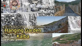 Hanging Garden Kalba and waterfall | new attraction in kalba #sharjah #uae #firstvlog #2024 #fyp