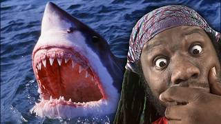 10 OF THE CRAZIEST SHARK ATTACKS YOUVE EVER SEEN!! | REACTION!!!