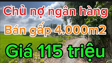 Chủ ngộp giảm giá 10 triệu bán gấp 4.000m2 đất ruộng mặt tiền đường xe máy tới Hậu Giang