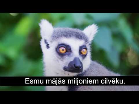 Video: Kā Dzīvnieki Ietekmē Augus