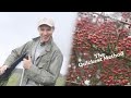 How to Harvest Hawthorn Berries | Wild Edibles UK