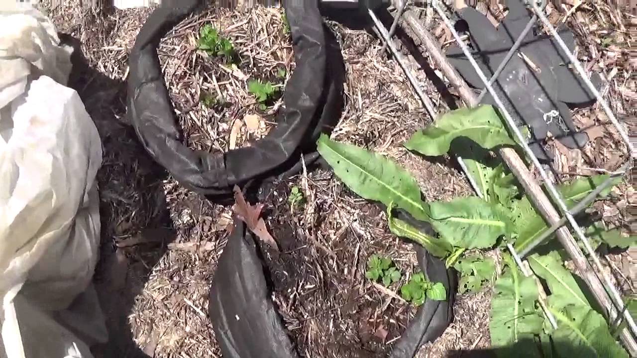 Easy no dig ways to start or expand your garden - YouTube