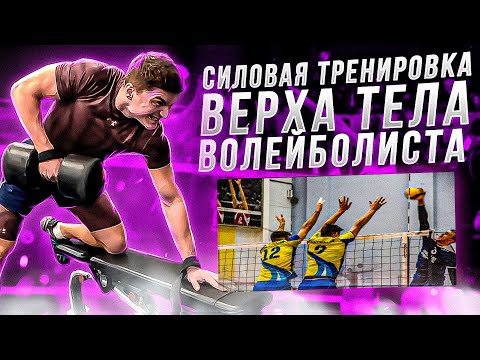 Физическая подготовка в волейболе. Классическая силовая тренировка верха тела.
