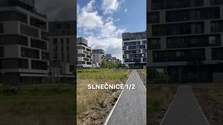 Objavujeme Slnečnice (Zóna Mesto)