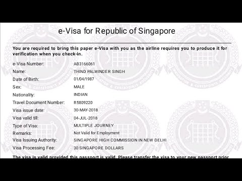 Cómo Verificar El Estado De Mi Pase De Empleo En Singapur