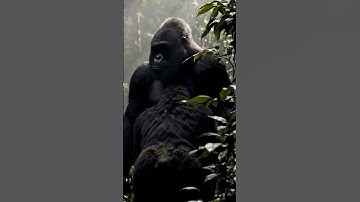 4 Hulk vs King Kong: Clash at 30,000 Feet | Military Plane Battle Scene