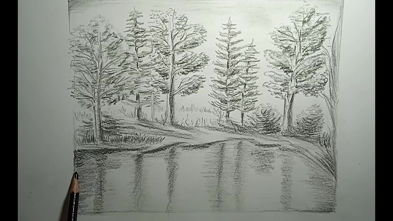 Promenade en forêt Dessin en graphite original, Crayon, Papier