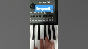Despacito #korg #pa600 #dance #music