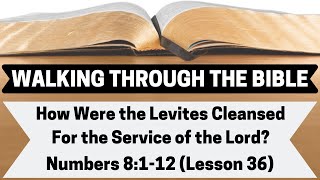 How Were the Levites Cleansed For the Service of the Lord? [Numbers 8:1-12][Lesson 36][WTTB]