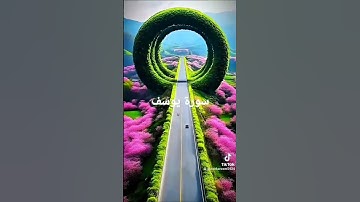 قرآن كريم.سورة يوسف.عبدالرحمان السديس #اكسبلور #duet #تيك_توك #دويتو #news #حالات_واتس
