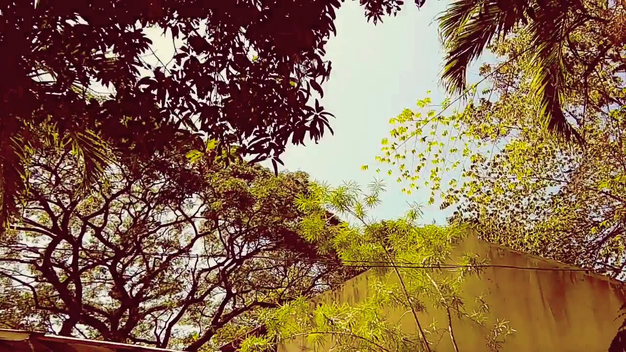 Best Friend Forever by KSM (Unofficial Music Video)