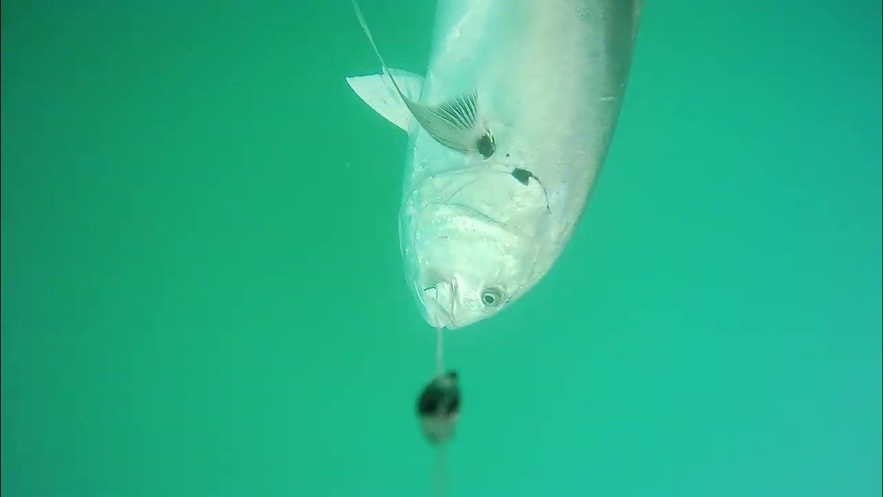 Westin ESCAPE CAM World´s Smallest & Lightest Underwater Fishing