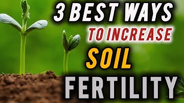 the best ways to increase soil fertility / how to improve garden soil quality?