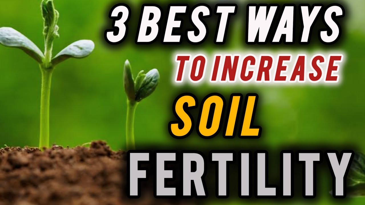 the best ways to increase soil fertility / how to improve garden soil ...