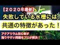 【失敗する水槽には共通の特徴があった】アクアリウム初心者が陥る問題をプロが解決!
