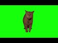 I go meow  cat singing  green screen