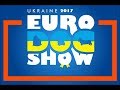 Euro Dog Show 2017, Jack Russell Terrier, Male