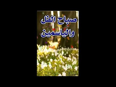 صباح الفل والياسمين حالات واتس صباح الخير وستوريات الصباح