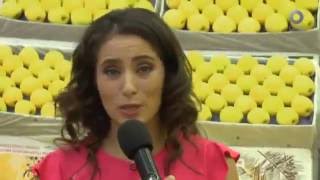 D Todo - Central de abasto (06/07/2016)