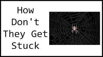 Why Don