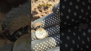 коп в Беларуси #equinox700 #поискмонетметаллоискателем #коп #монеты #metaldetector