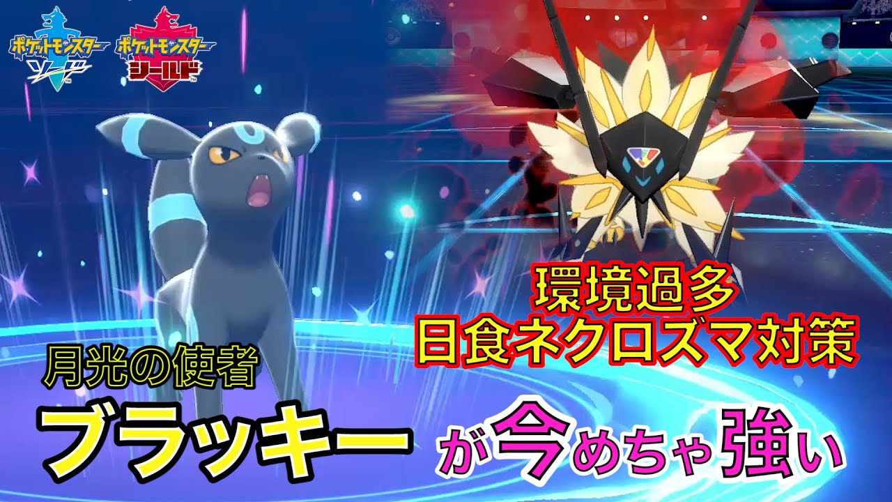 月光の使者 ブラッキーが環境最前線 日食ネクロズマ対策 Youtube