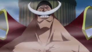 One Piece White Beard Amv
