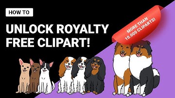 Customily 2.0 for Shopify✨ Mastering Design Libraries for Product Personalization | (Vietnamese sub)