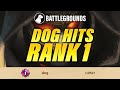 Dog Hits Rank 1 in North America | Dogdog Hearthstone Battlegrounds