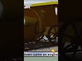 Miky on a railway 💀💀💀💀💀💀💀💀💀💀💀💀💀💀💀💀💀💀💀💀💀💀💀💀💀💀