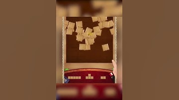 Train your brain-Wood Block Puzzle-Wood-JL14-2:3
