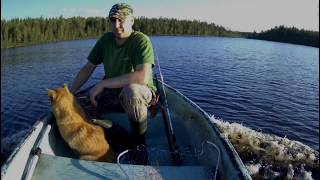 Спиннинг. Карельская Речка.жор Щуки.spinning. Karelian River.zhor Of A Pike.