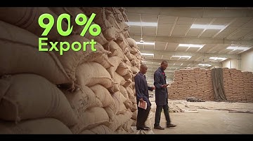 Cocoa value chain Ghana twi   ECOM