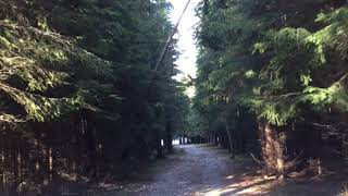 Trip Report - Way To Transalpina Most Beautiful Road In The World An Off Road Stop At Vidra Lake