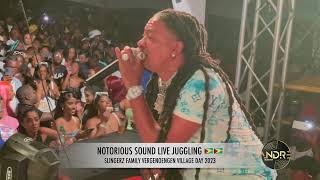 DJ MAGNUM DISS HITS &amp; JAMS AND STEREO SONIC ON STAGE AT VERGENOEGEN VILLAGE DAY 2023