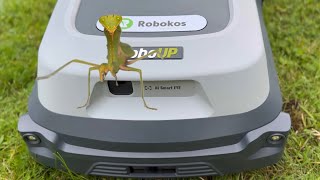 видео: Беспроводная робот газонокосилка Robokos RoboUp Т600; T1200  с  системой навигации RTK, с камерой ИИ картинка: Беспроводная робот газонокосилка Robokos RoboUp Т600; T1200  с  системой навигации RTK, с камерой ИИ