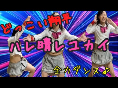 【キャラ崩壊？！】ハレ晴レユカイ踊ります！【全力ダンス】