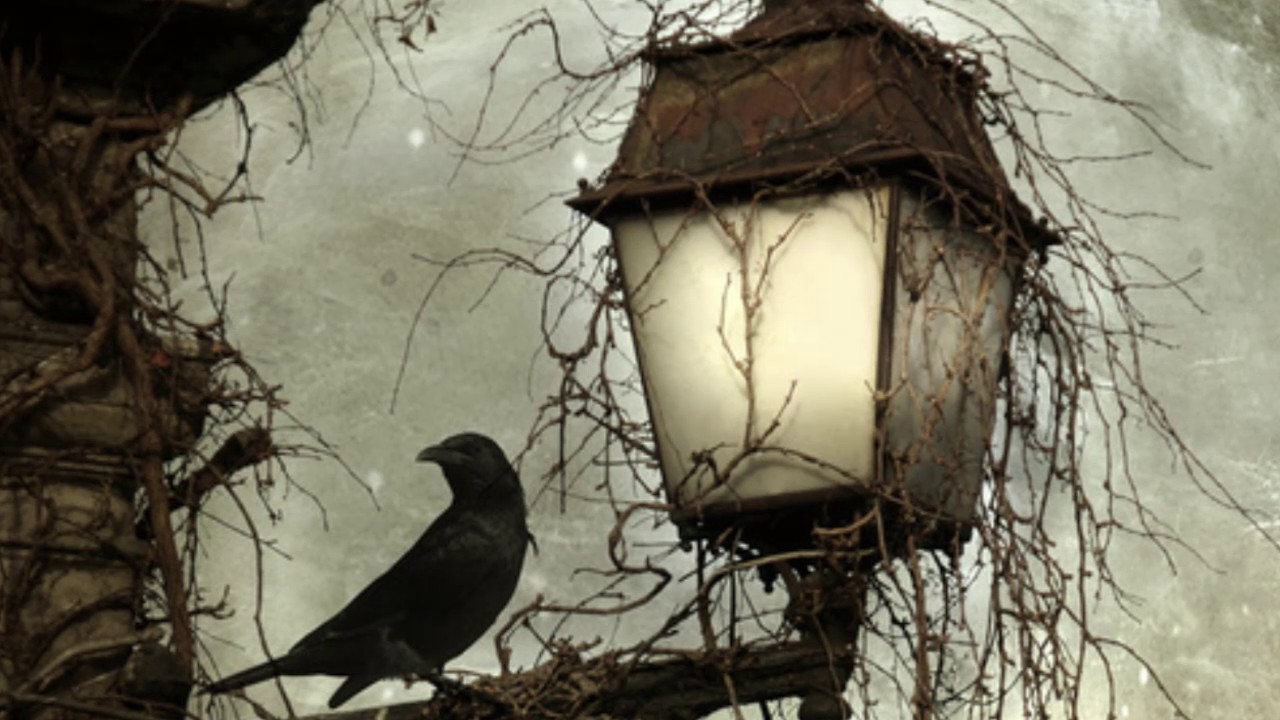 Chopin Nocturne Op. 32 No. 1 in B Major - 1 HOUR - Classical Piano Music: With Soothing Rain nocturne chopin piano tutorial