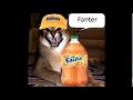 Soda Cats Soda Cats