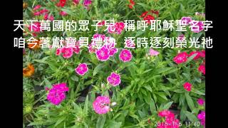聖詩131:人若抵著憂悶傷悲(敬拜實況)
