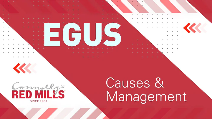 Ask our Experts - Equine Gastric Ulcers