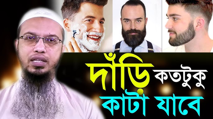 Shaffof külotli fotosuratda katta eshak Shaffof külotli fotosuratda katta eshak