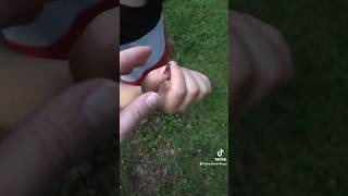 Catching Lightning Bugs