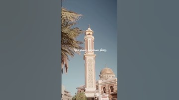 سورة هود الآية ٦ | #quran #theholyquran #القران_الكريم #سورةهود
