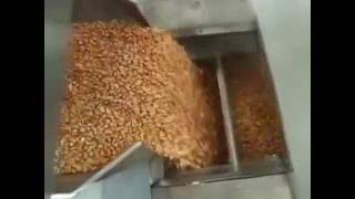 Automatic Packing Machine with Electronic Weigher - ABI System