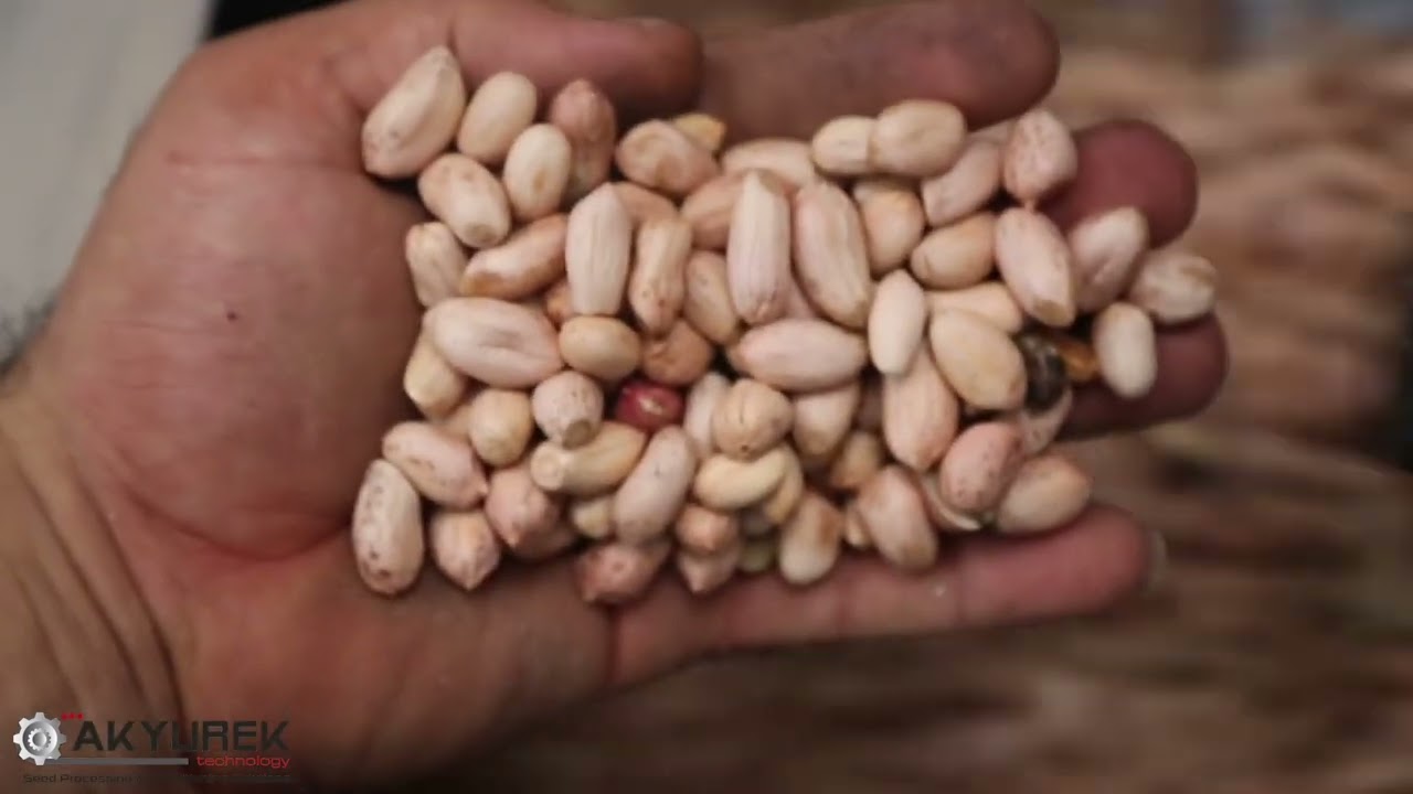 Groundnut Shelling and Cleaning Line 10 T/H