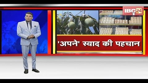Rewa के सुंदरजा आम, Morena की गजक को GI टैग | क्षेत्रीय उत्पाद का नाम बढ़ाने पर मिलता है GI टैग